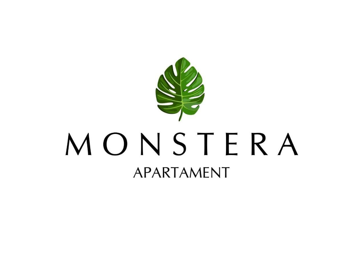 Monstera *